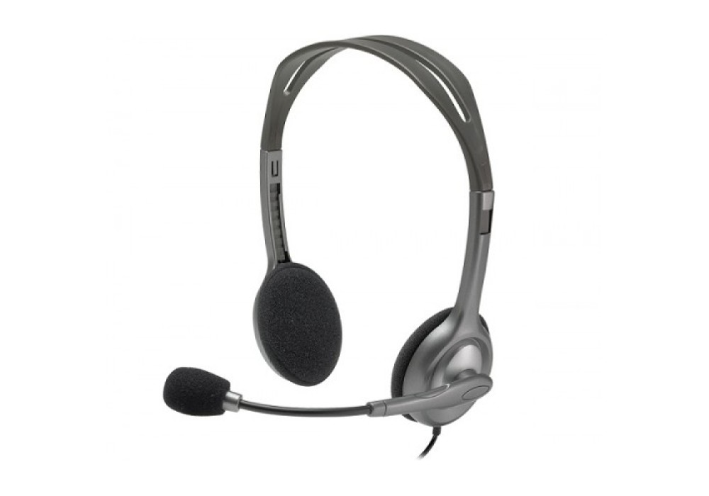 Logitech H110 STEREO Headset (Two port)