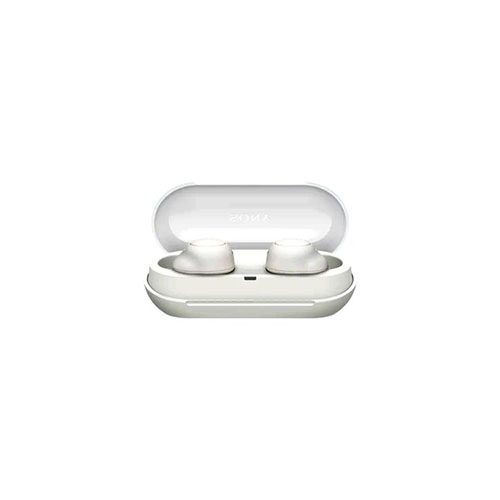 Sony WF-C500 True Wireless Earbuds
