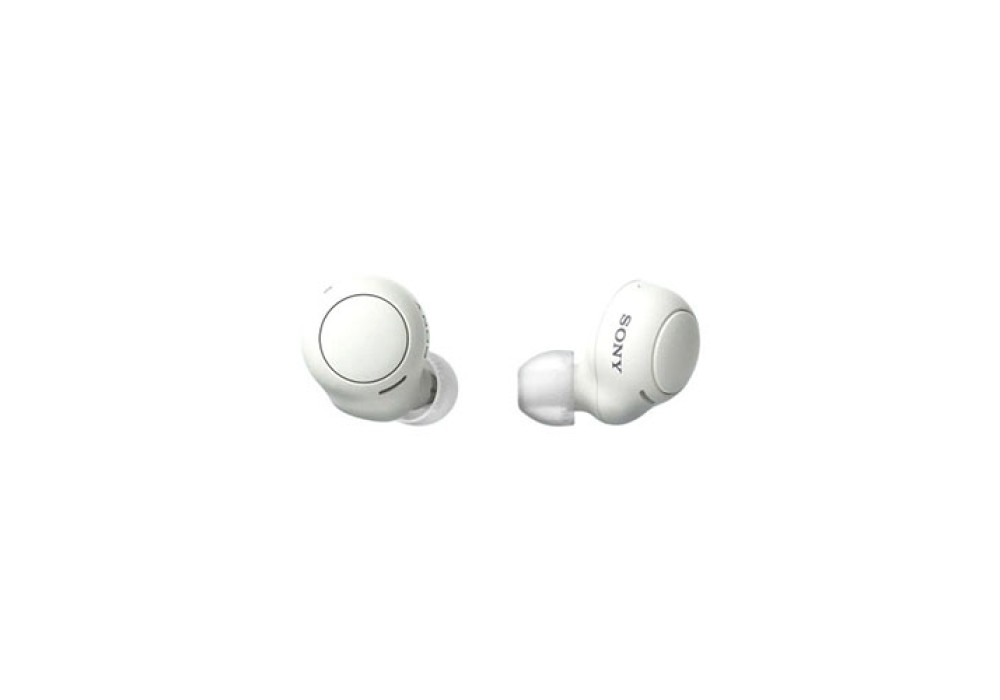 Sony WF-C500 True Wireless Earbuds