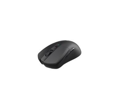Dareu A918X Wireless Gaming Mouse