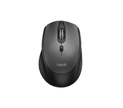HAVIT MS56GT Wireless Optical Mouse