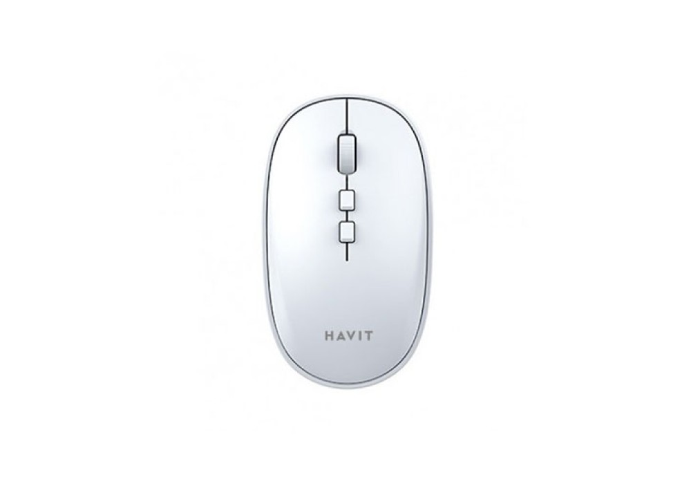 HAVIT MS79GT Wireless Optical Mouse