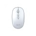 HAVIT MS79GT Wireless Optical Mouse