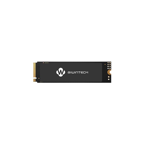 Biwintech NX500 128GB M.2 PCIe NVMe SSD