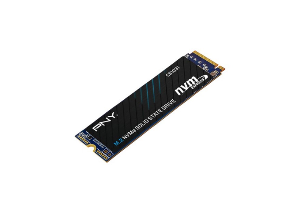 PNY CS1031 256GB M.2 NVMe SSD