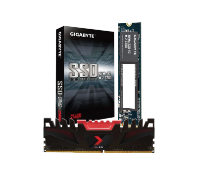 Gigabyte G3NVMEV2256G SSD & PNY XLR8 Desktop RAM Combo