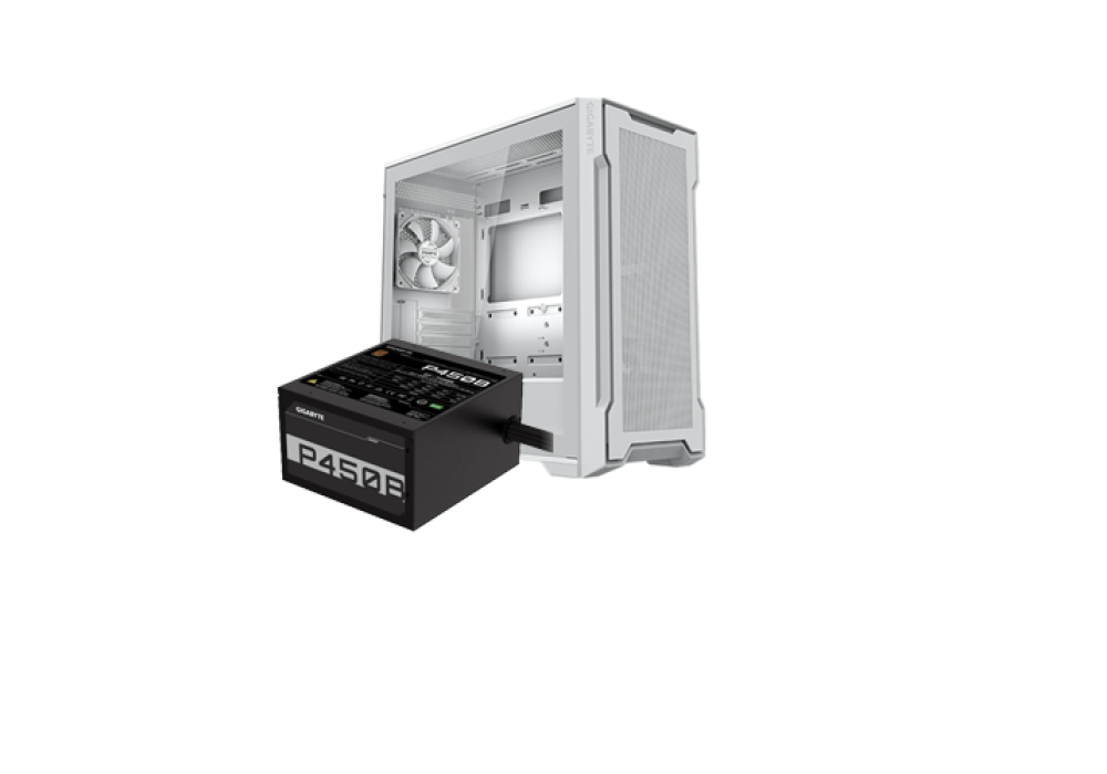 GIGABYTE C102 GLASS ICE Casing & Gigabyte GP-P450B Power Supply Combo