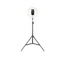 Havit ST7012 Pro Phone Holder with 10-inch LED Selfie Ring Light & Tripod Stand