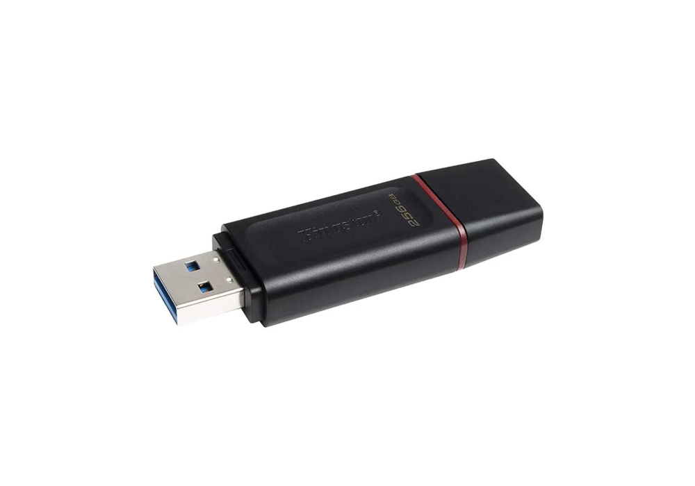 Kingston DataTraveler Exodia 256GB USB 3.2 Pen Drive