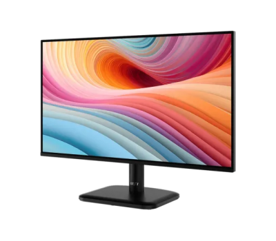 MSI PRO MP251L E2 24.5 Inch 120Hz 1ms FHD IPS Business Monitor