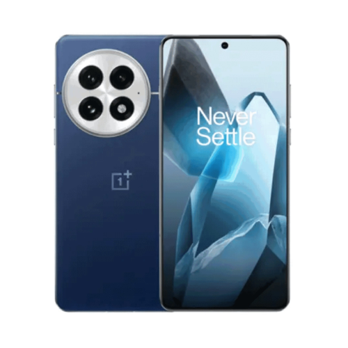 OnePlus 13