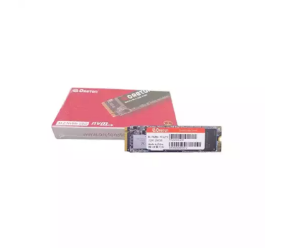 Oreton 256 GB M.2 NVME 2280 SSD