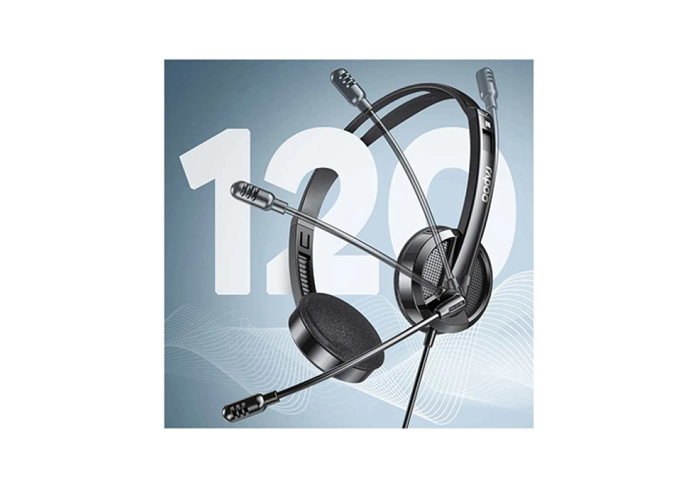 Rapoo H102 Black Wired Stereo Headphone