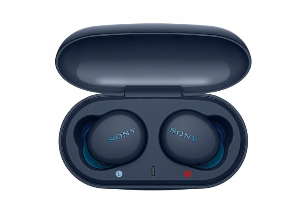 Sony WF-XB700 True Wireless Earbuds