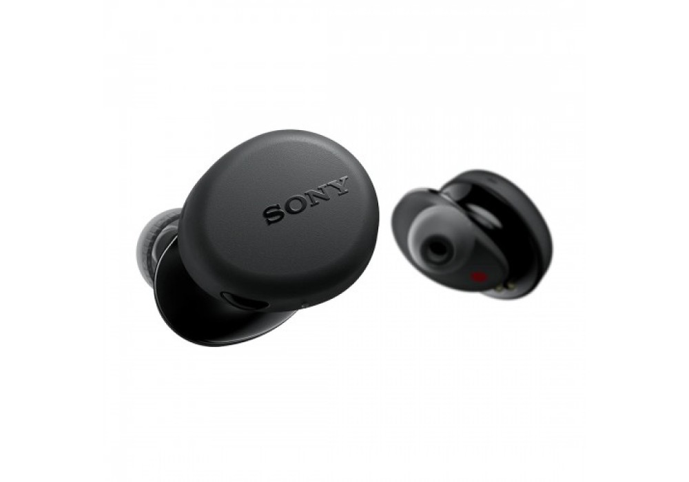 Sony WF-XB700 True Wireless Earbuds