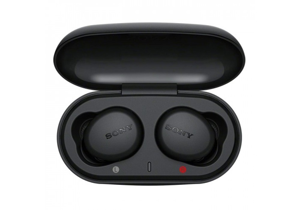 Sony WF-XB700 True Wireless Earbuds