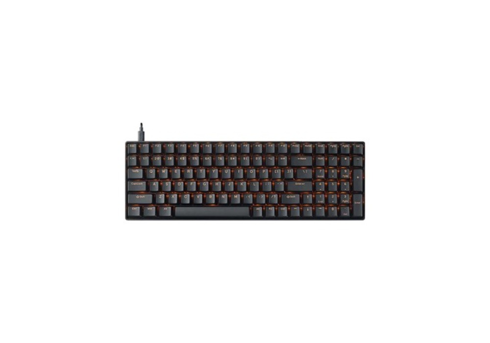Rapoo V500DIY-100 Wired Black Mechanical Gaming Keyboard